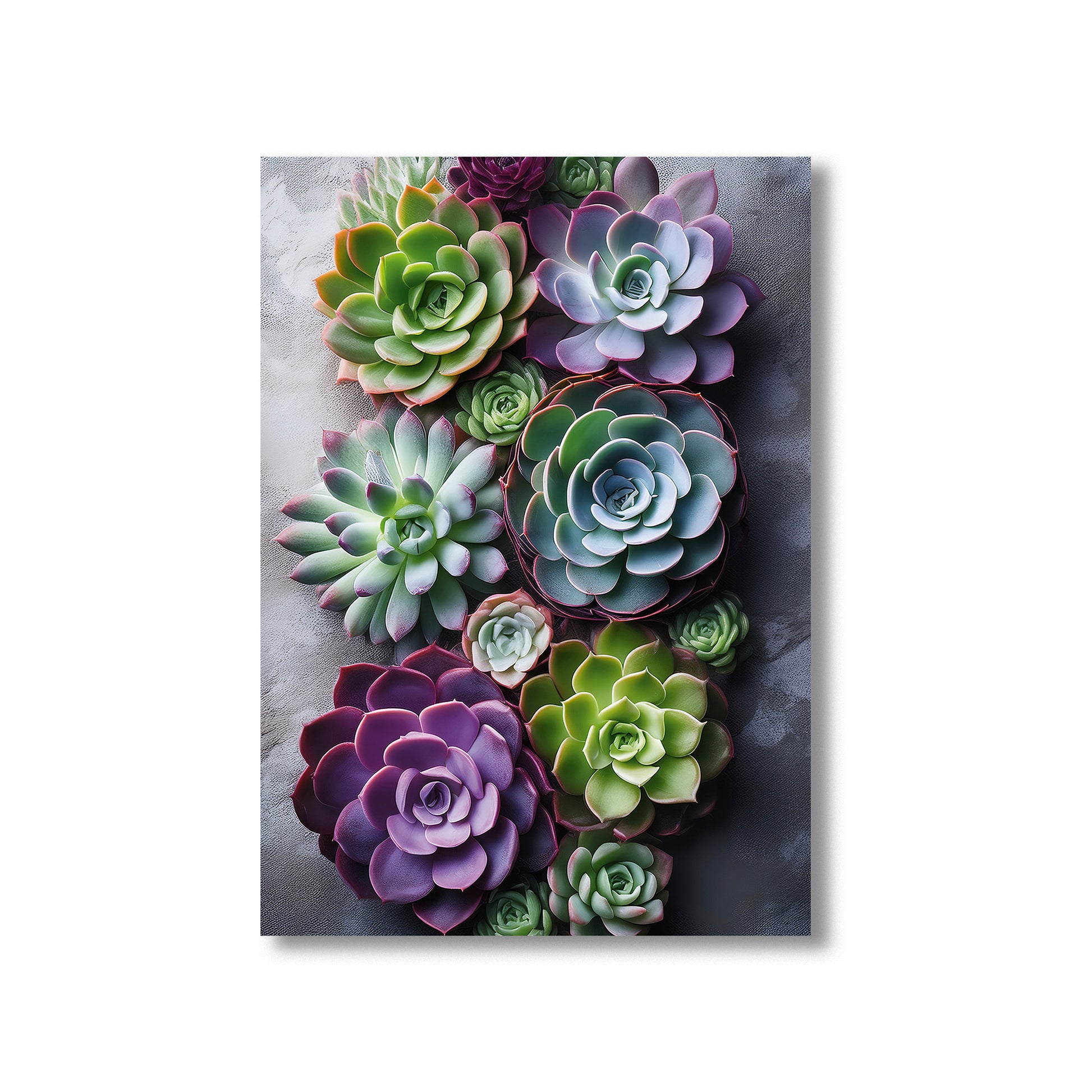 Succulent Harmony Wall Art Print – Digital Download Modern Botanical Home Decor