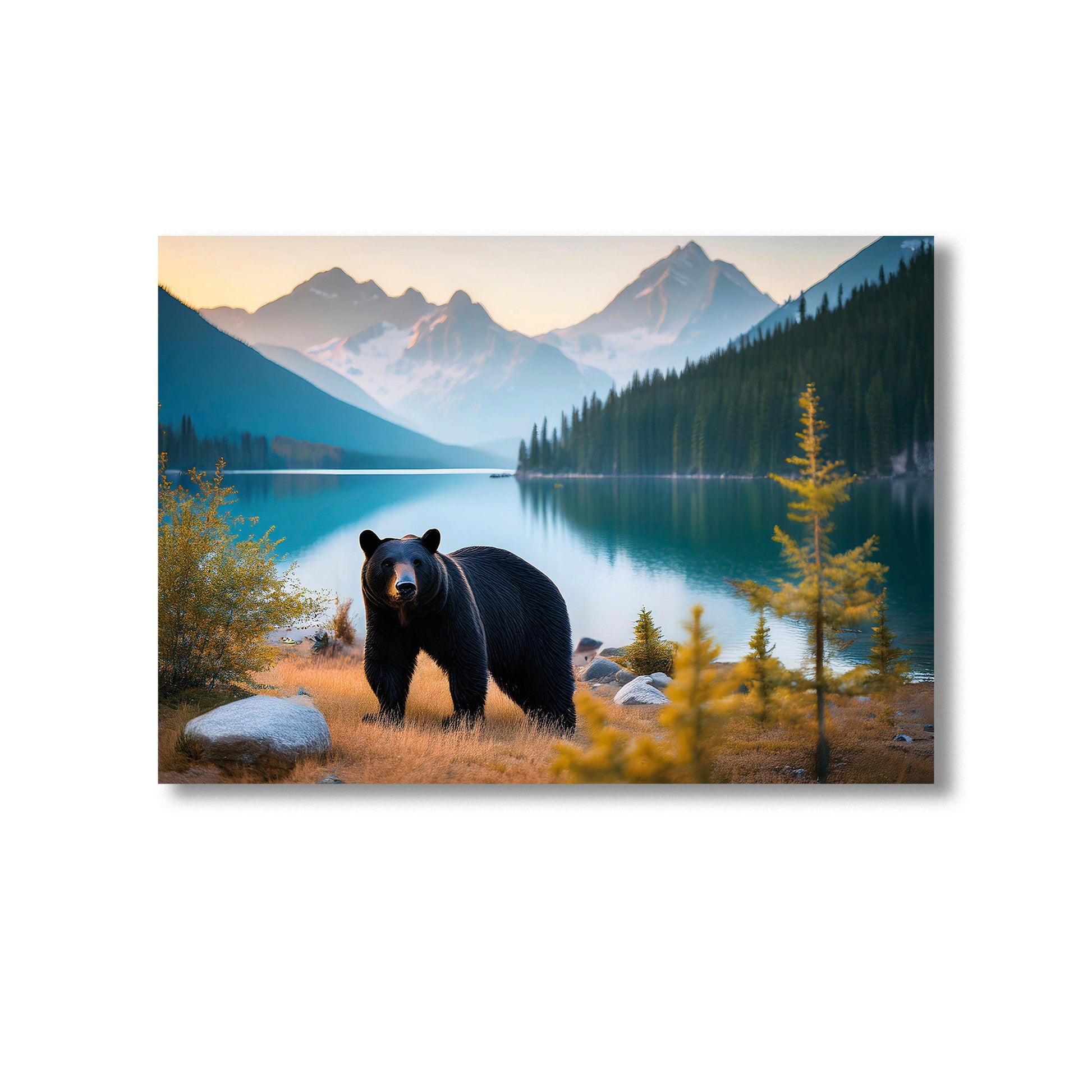 Wildlife Black Bear in the Forest Wall Art Print Home decor Poster, Product