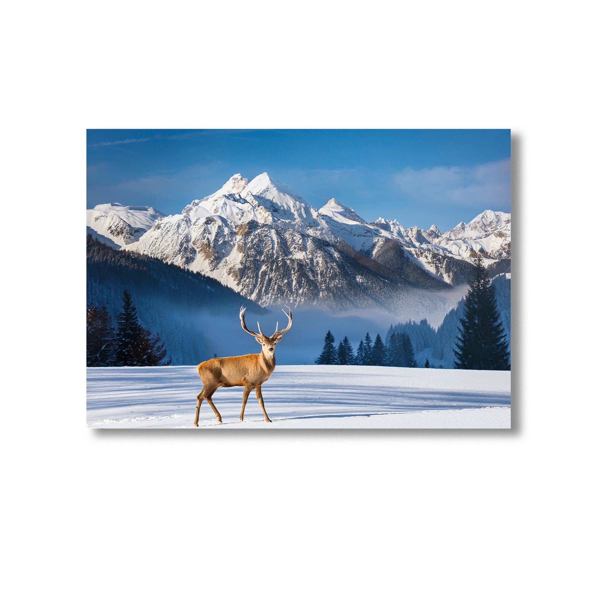 Wildlife Deer in a Wintery Setting Wall Art Print Home decor Poster, Product