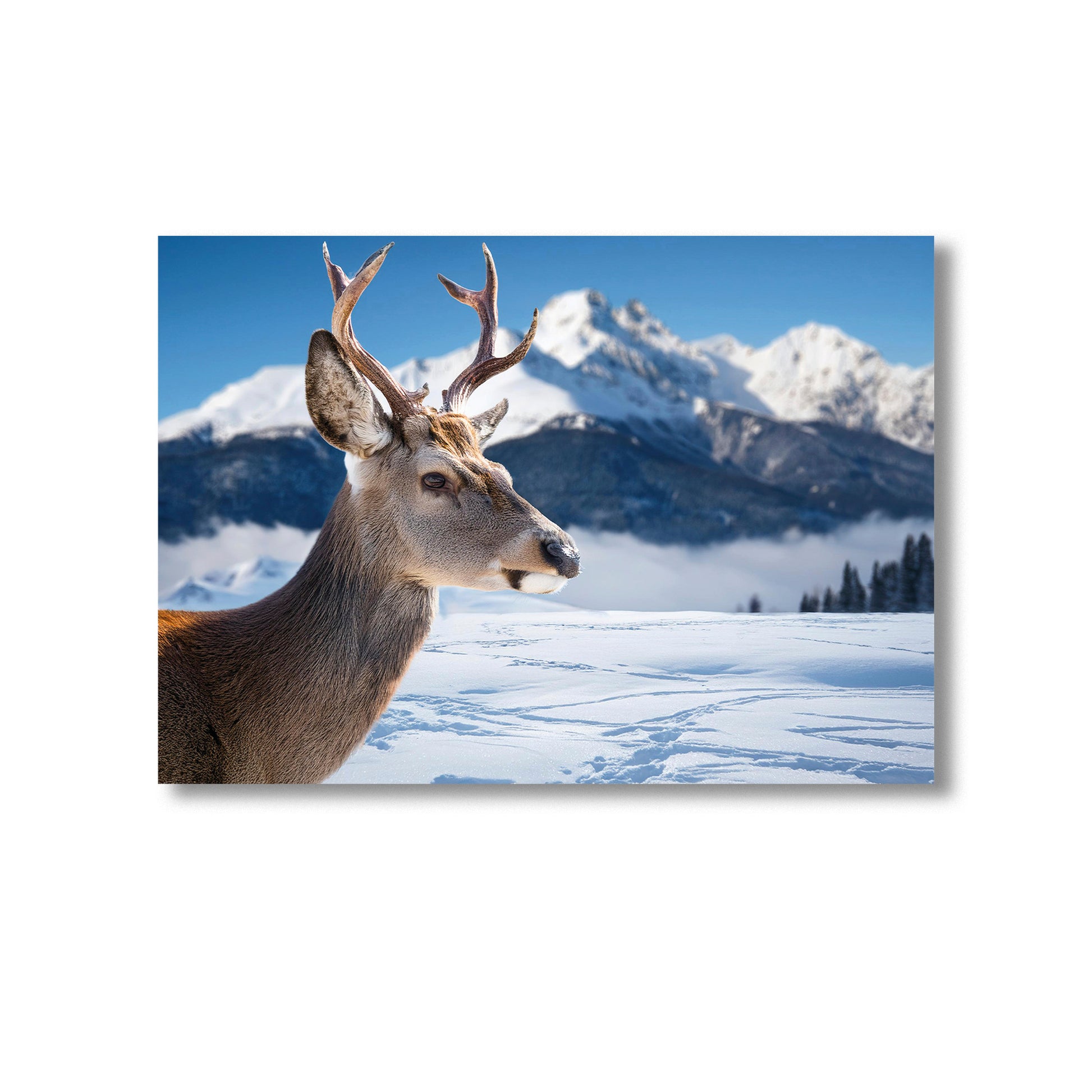 Wildlife Deer in a Wintery Setting Wall Art Print Home decor Poster, Product