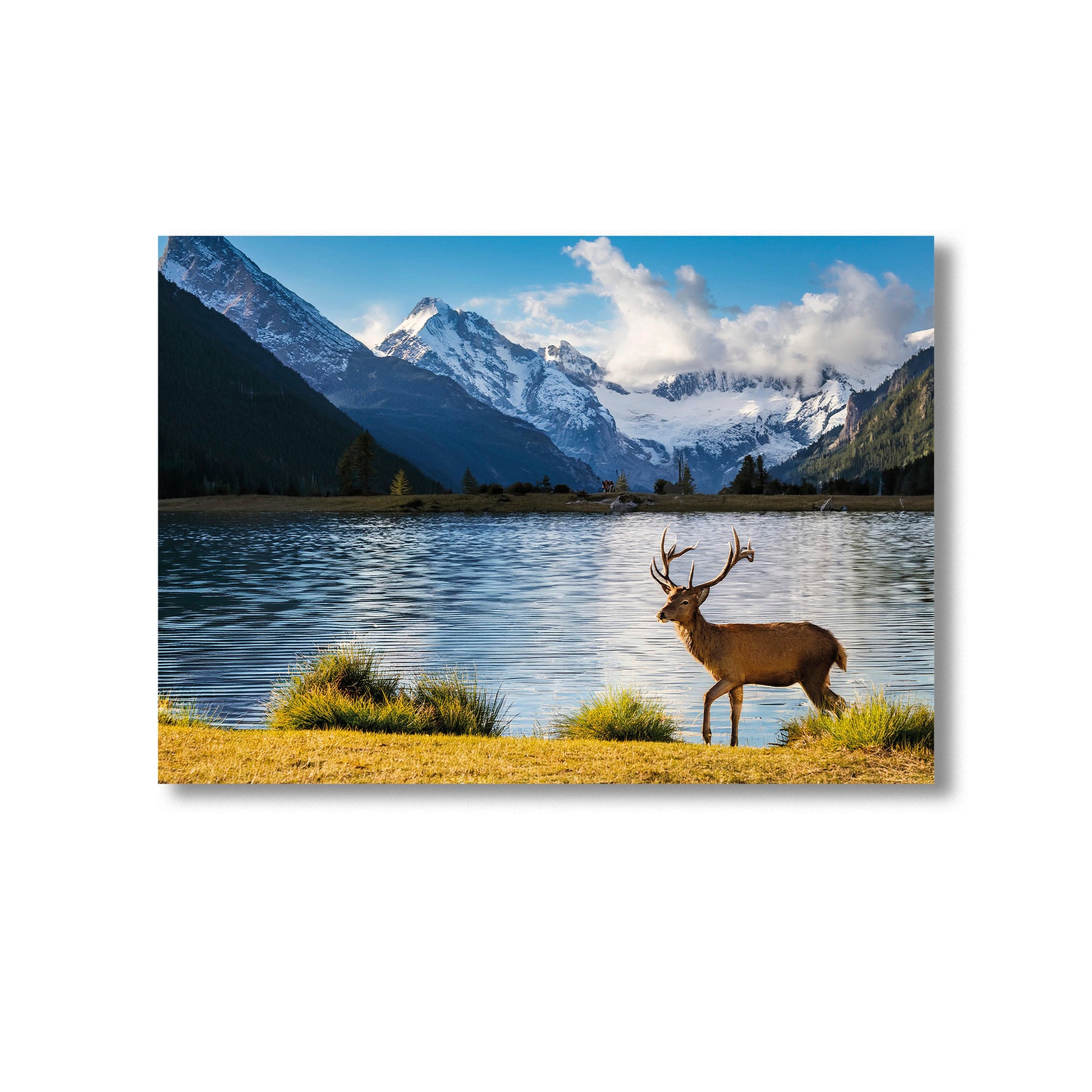 Wildlife Deer by the Lake Wall Art Print Home decor Poster, Product