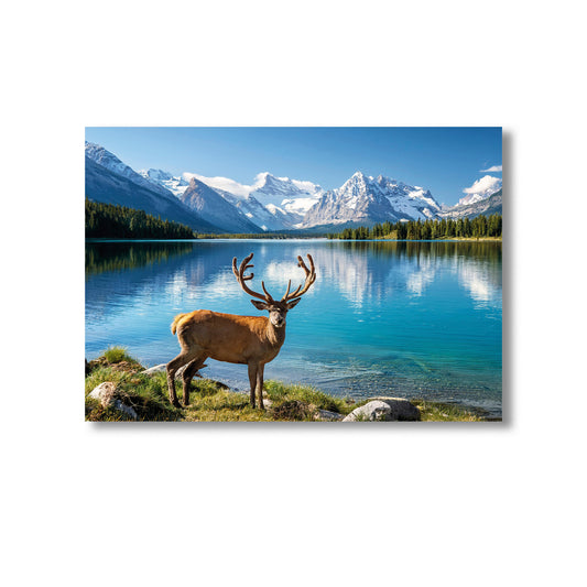 Wildlife Deer by the Lake Wall Art Print Home decor Poster, Product