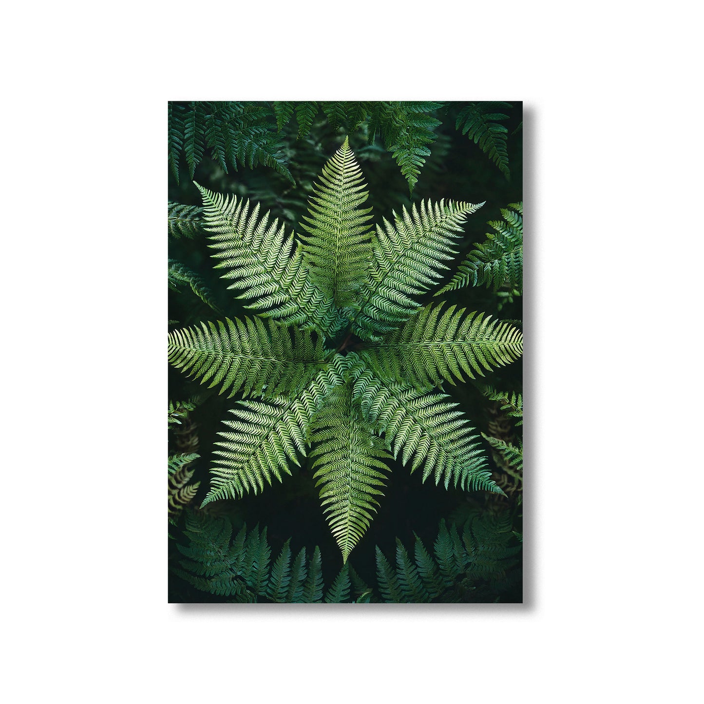 Fern Mandala Wall Art Print – Digital Download Symmetrical Botanical Decor