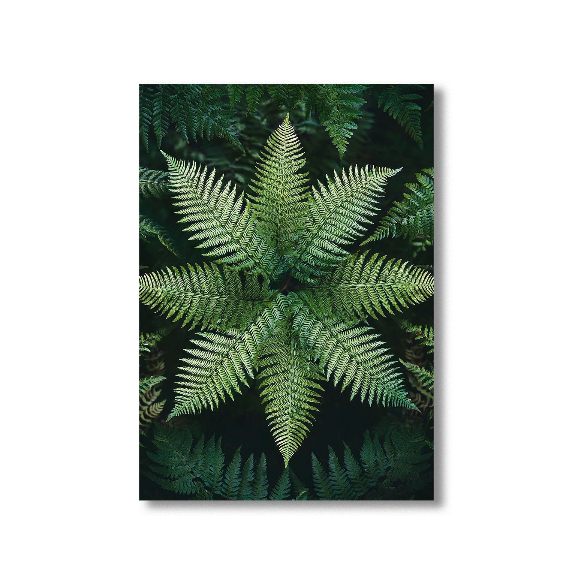 Fern Mandala Wall Art Print – Digital Download Symmetrical Botanical Decor