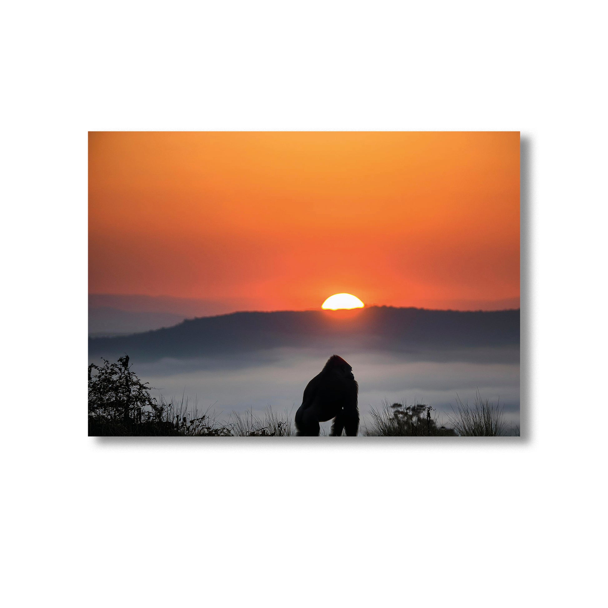 Wildlife Gorilla at Sunset Wall Art Print Home decor Poster, Product