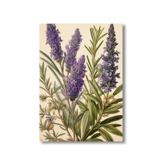 Vintage Herbal Botanical Study Wall Art Print – Digital Download Medicinal Plant Decor