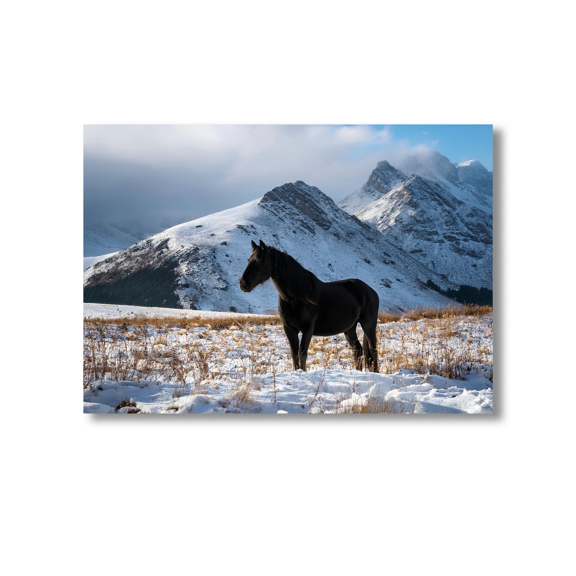 Wildlife Horse in the Snow Wall Art Print Home decor Poster, Product