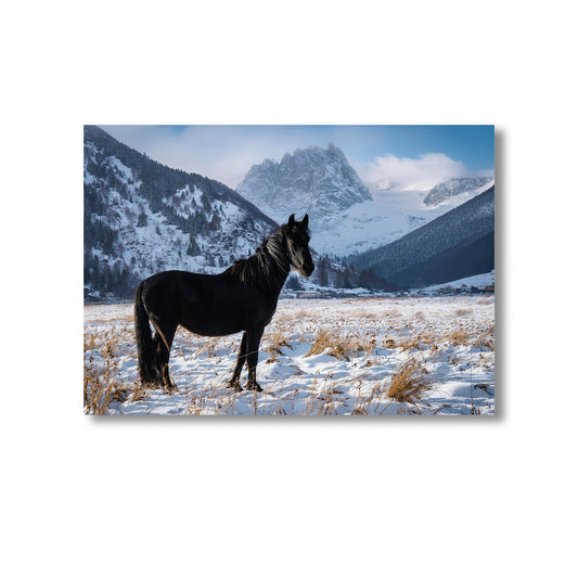 Wildlife Horse in the Snow Wall Art Print Home decor Poster, Product