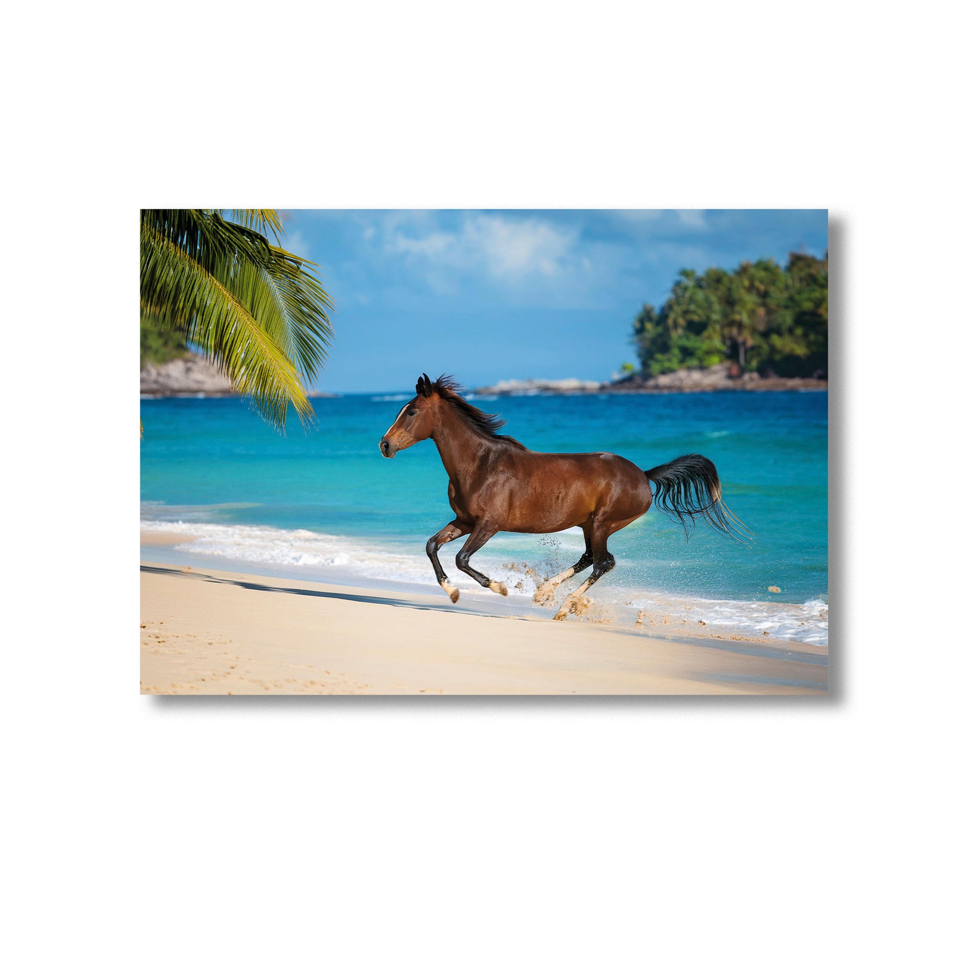 Wildlife Horse on the Beach Wall Art Print Home decor Poster, Product