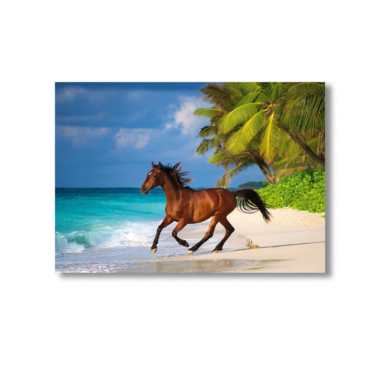 Wildlife Horse on the Beach Wall Art Print Home decor Poster, Product