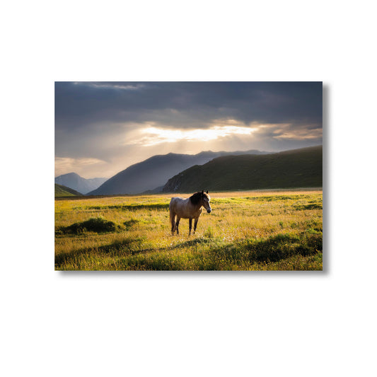 Wildlife Horse Wall Art Print Home decor Poster, Product