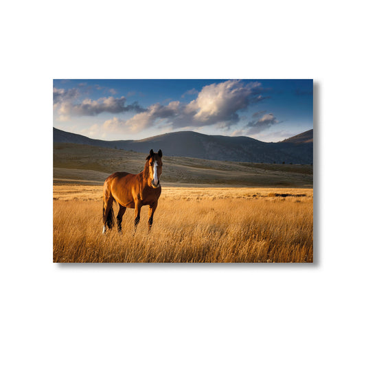 Wildlife Horse Wall Art Print Home decor Poster, Product