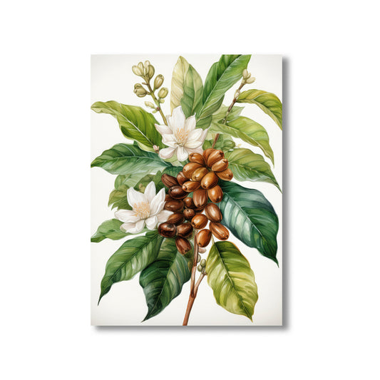 Vintage botanical coffee plant printable wall art for kitchen decor