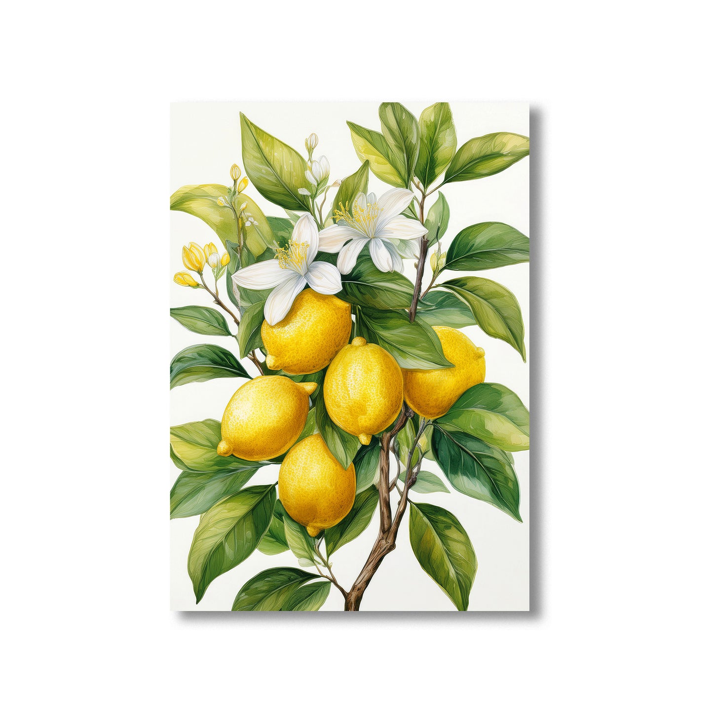 Mediterranean lemon tree branch watercolor printable wall art with blossoms