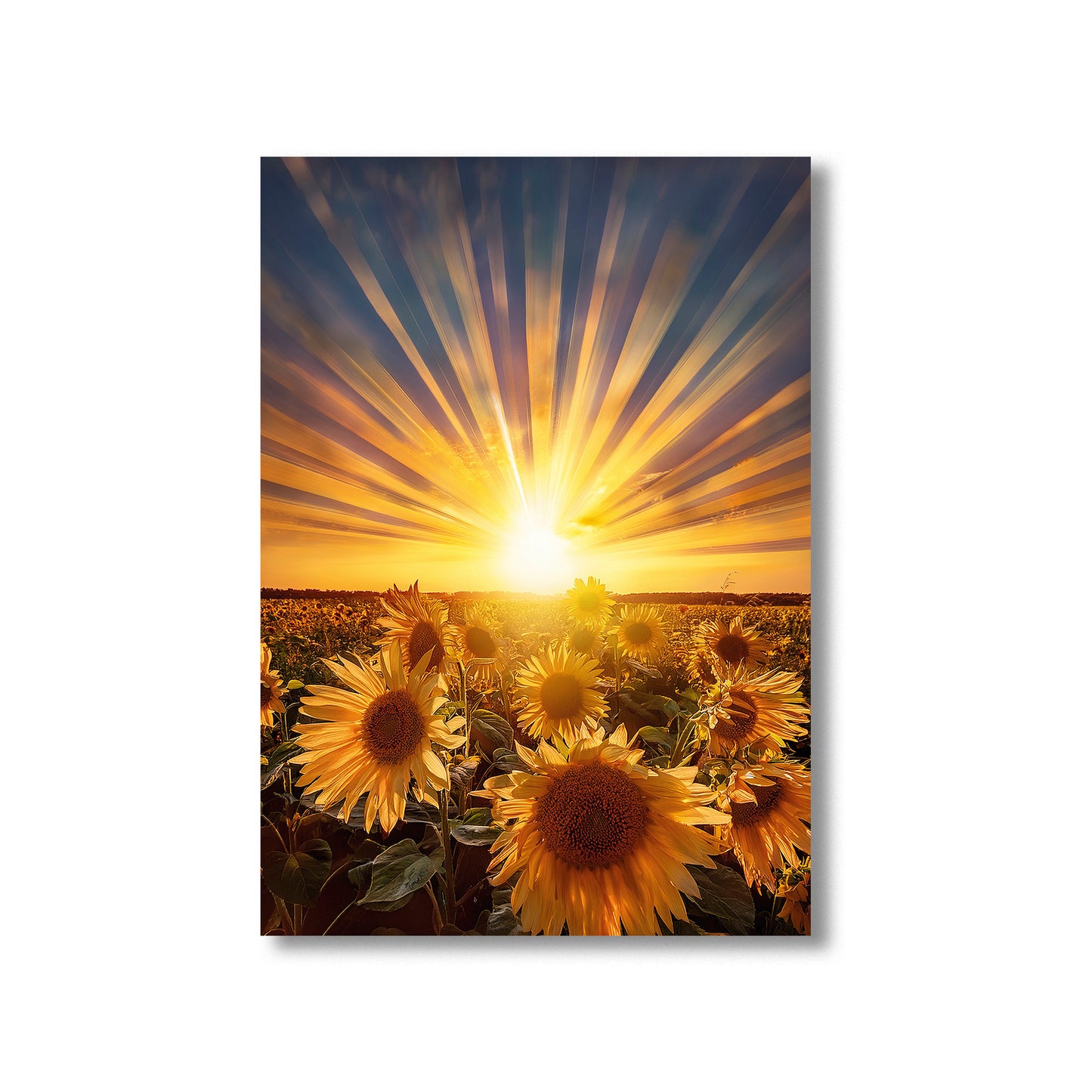 Solar Sunflowers Wall Art Print – Digital Download Bright Botanical Decor