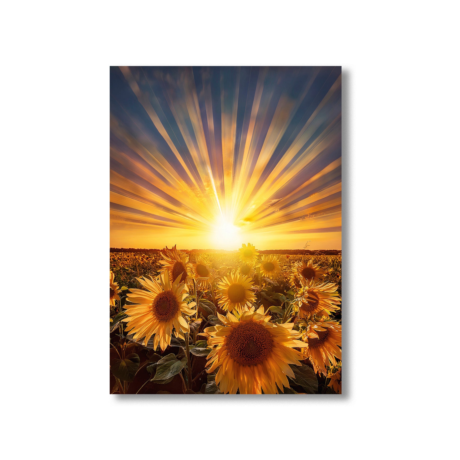 Solar Sunflowers Wall Art Print – Digital Download Bright Botanical Decor